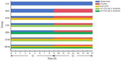 Intervention with fructooligosaccharides, Saccharomyces boulardii, and their combination in a colitis mouse model